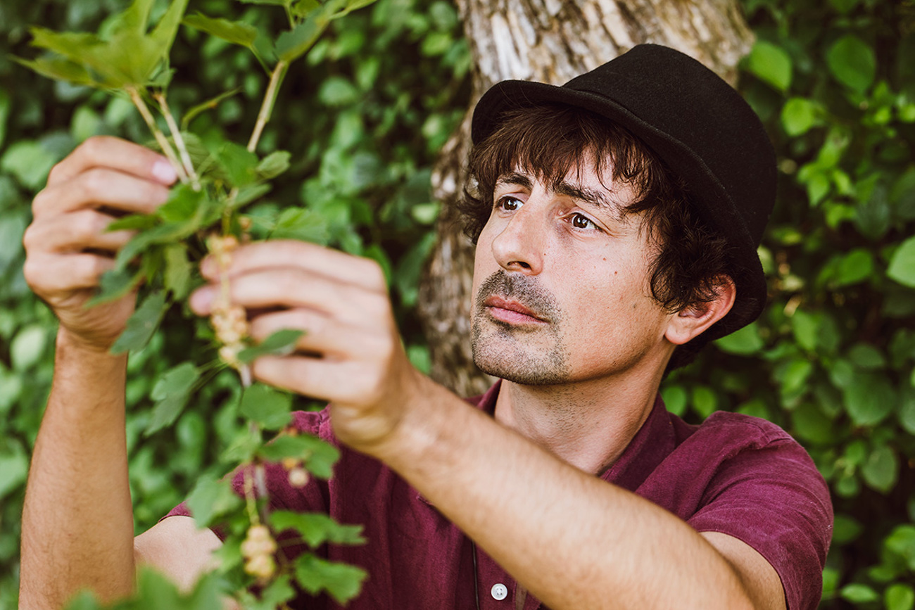 Prüfender Kennerblick: Claudio Niggli, Projektleiter Beeren bei Pro Specie Rara, ist Experte für die Erhaltung alter Beerensorten.