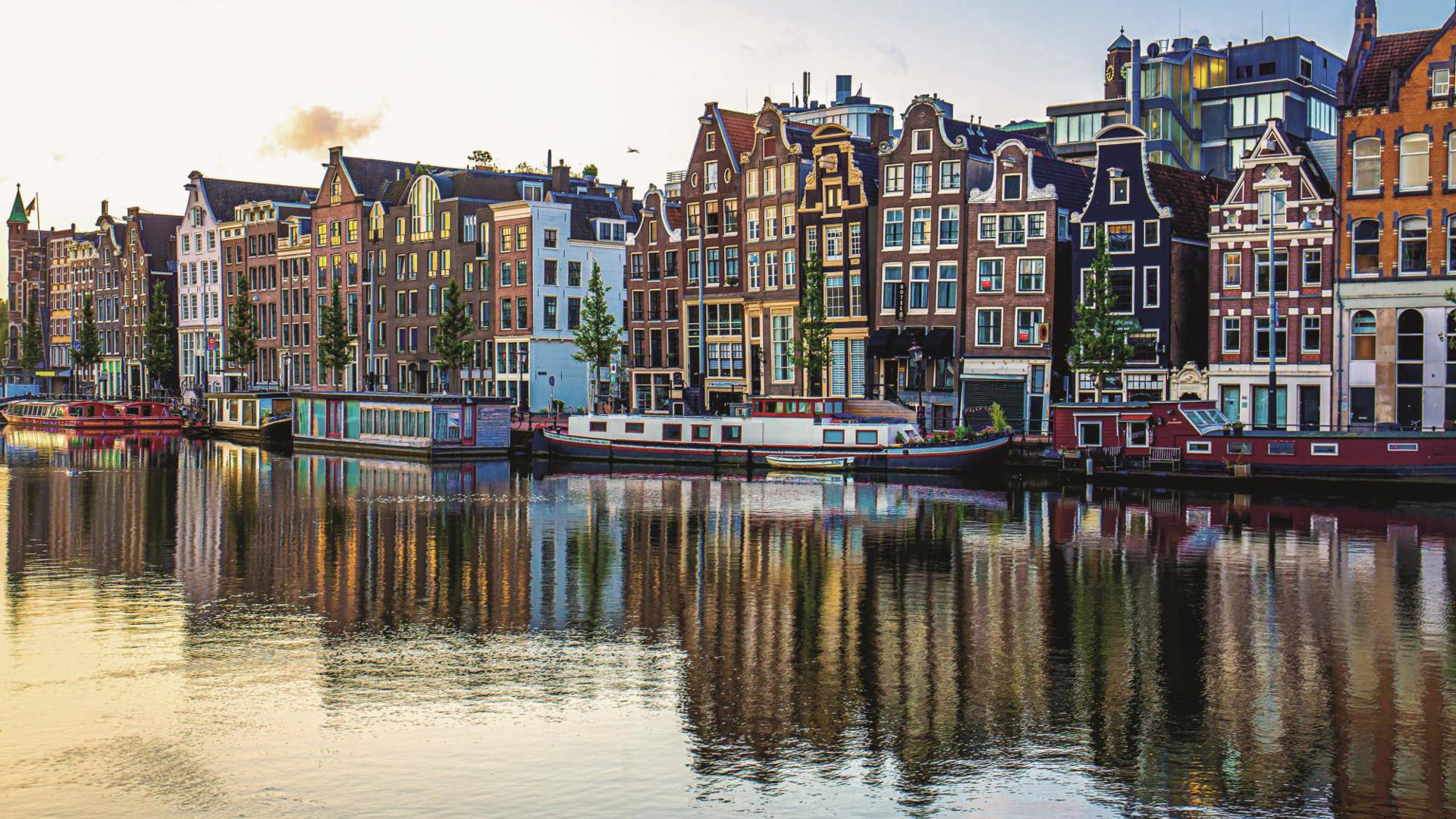 shutterstock_1705206574.jpg shutterstock_1705206574.jpg