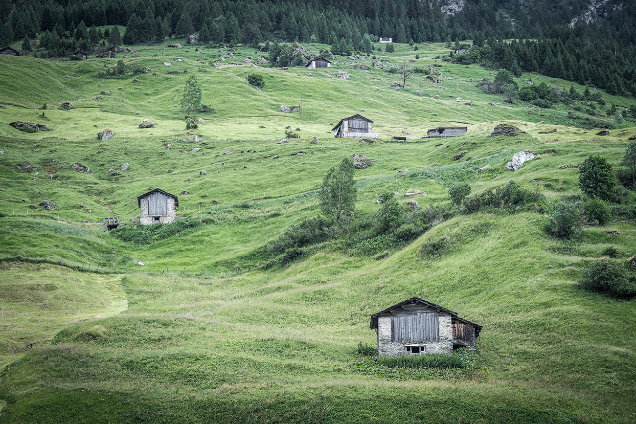 wassmer2016-1023.jpg wassmer2016-1023.jpg