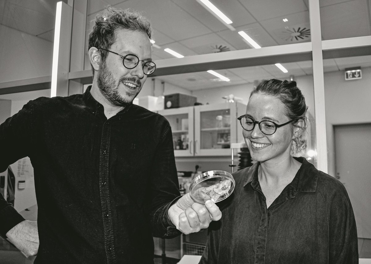 Sie wollen das Image der Qualle verbessern – auch als Lebensmittel: die dänischen Forscher Mathias Clausen und Mie Thorborg Pedersen