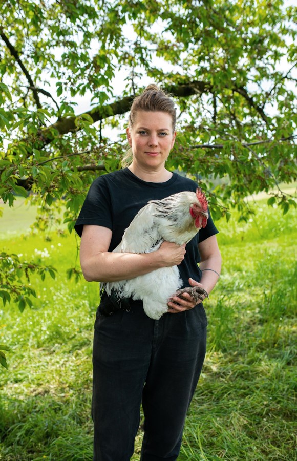 Der Biohof verkauft Eier und Hühnerfleisch aus nachhaltiger Produktion.