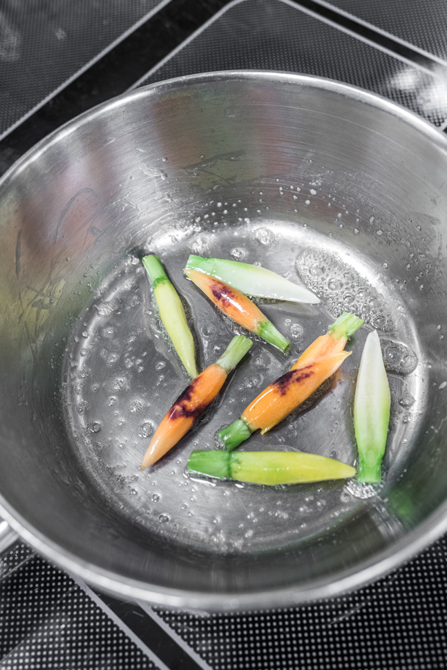 heilemann2016-1008.jpg heilemann2016-1008.jpg