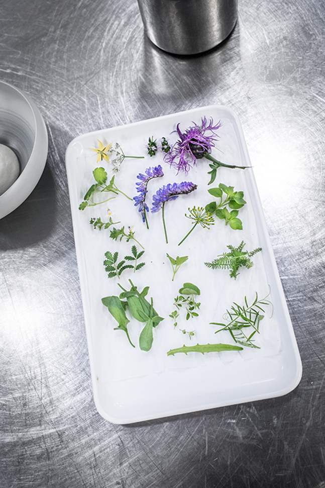 wassmer2016-1027.jpg wassmer2016-1027.jpg