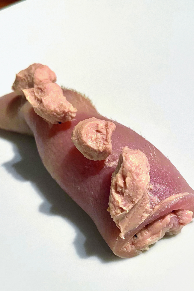 Im besten Fall eigenwillig: Das Elaborat von Gion Mathias Cavelty