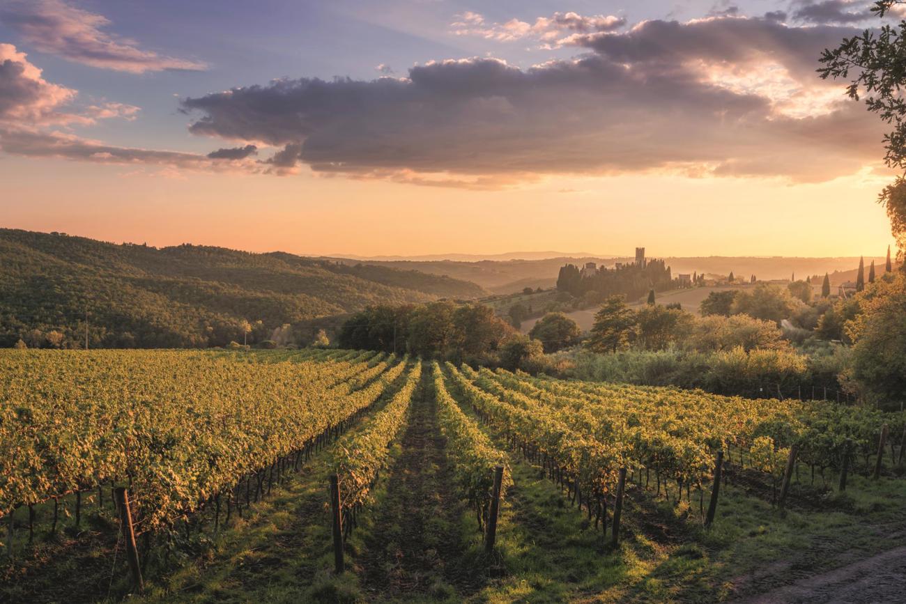 Weinberg in der Nähe der historischen Abtei Badia a Passignano