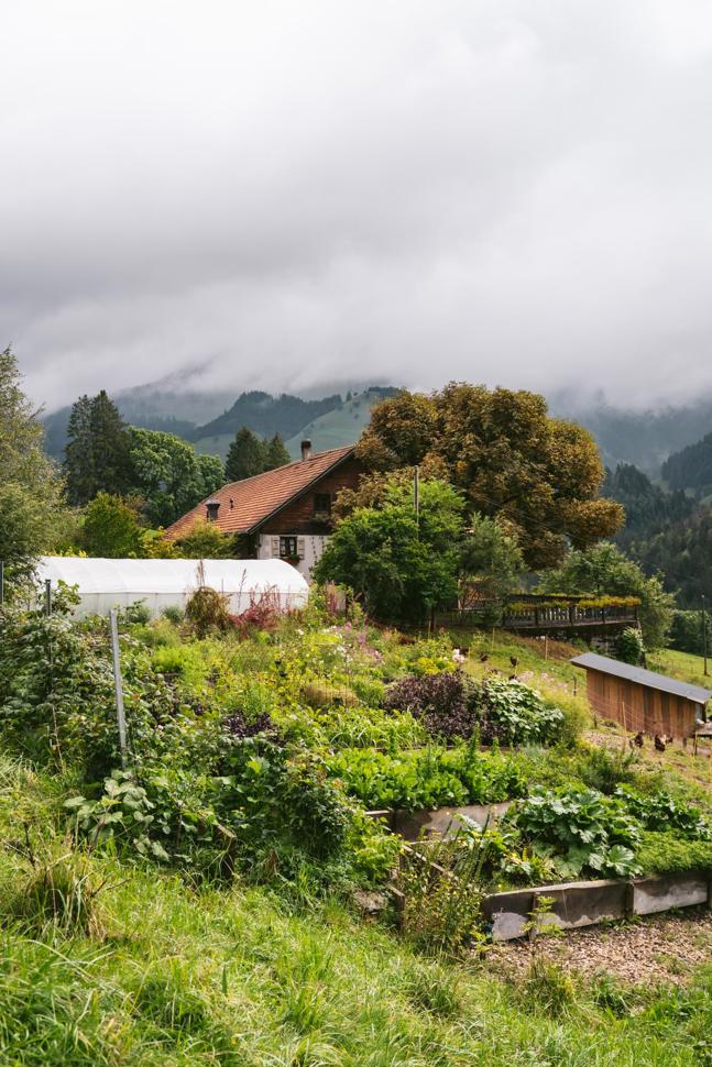 Der Garten des Restaurants La Pinte des Mossettes