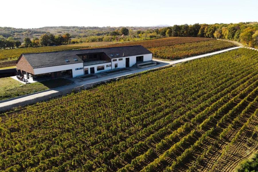 Die besten Tropfen des Balkans Die besten Tropfen des Balkans