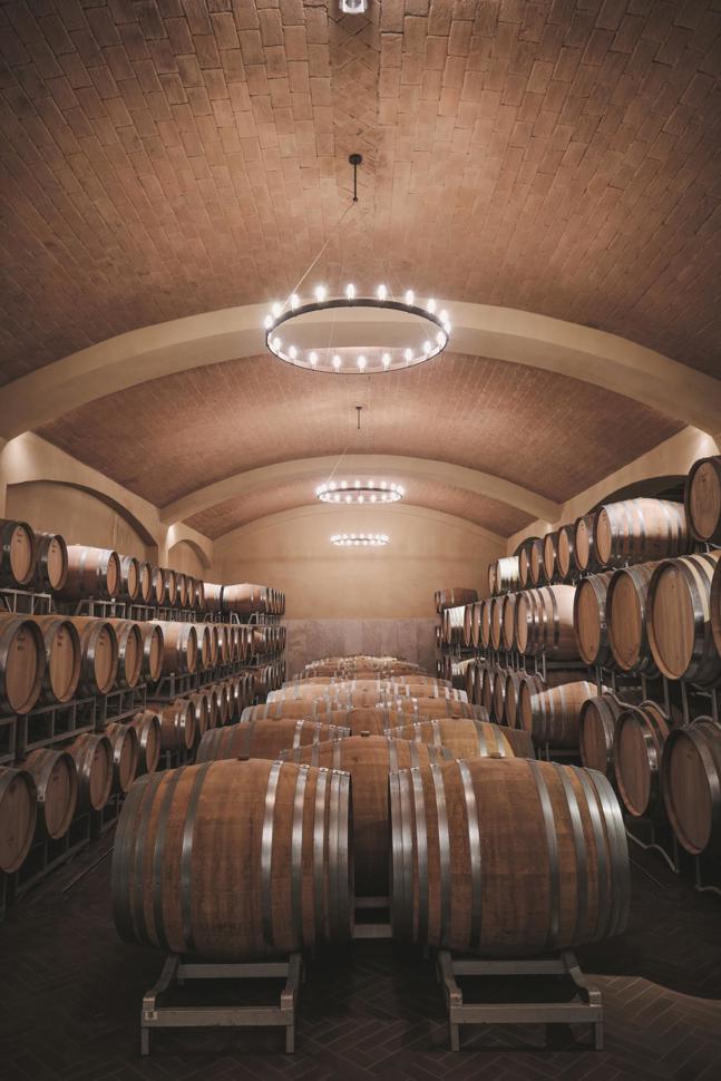 Im Keller des Weinguts Cecchi