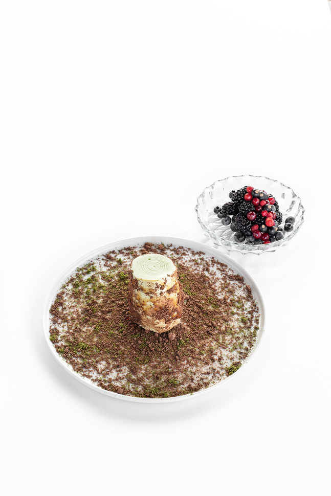 Fichte (von Elif Oskan) Fichte (von Elif Oskan)