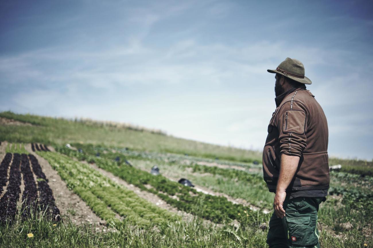 2025.04.28 Salz Und Pfeffer Mini Farming 18