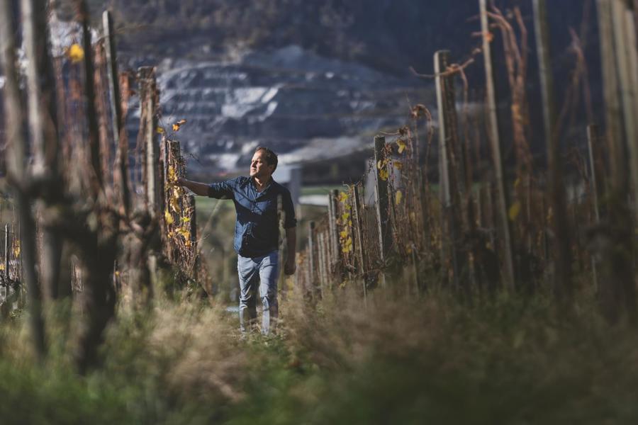 Der Mensch ist das Terroir