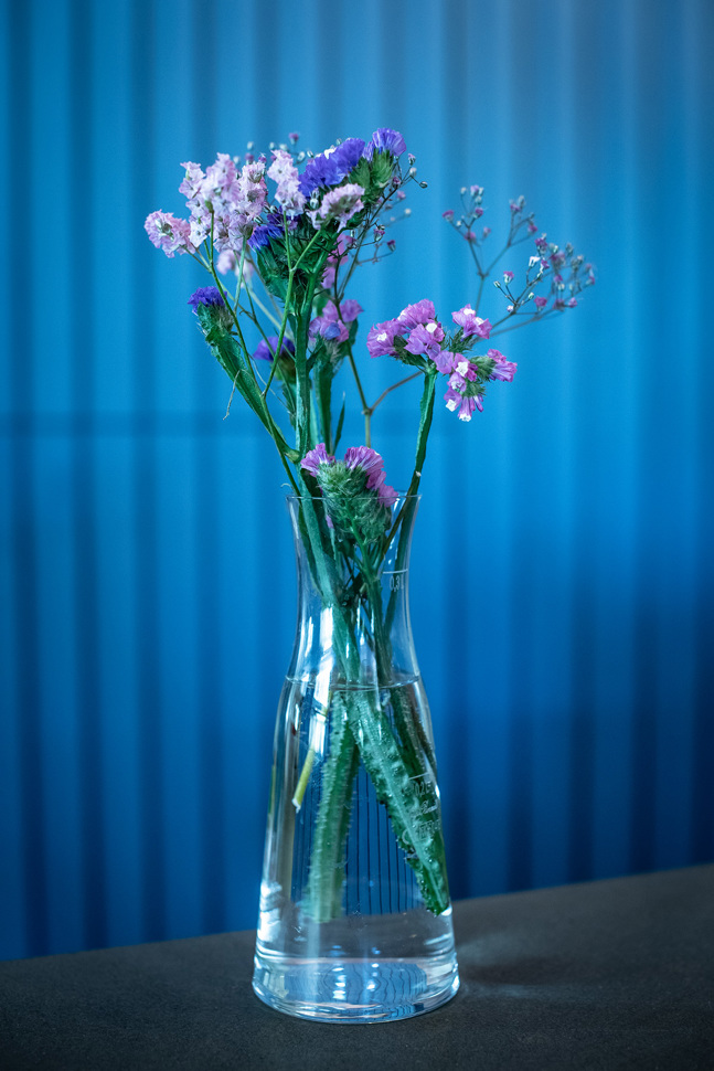 sa_pf_17-18-1013.jpg sa_pf_17-18-1013.jpg