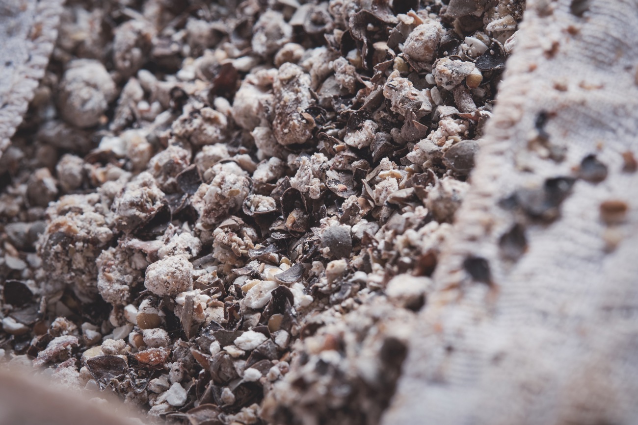 Substrat aus geröstetem Buchweizen, gekochten Ackerbohnen und dem Edelschimmelpilz Aspergillus oryzae