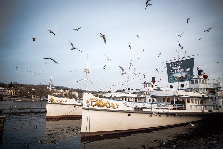 Und ewig lockt das «Wyschiff»