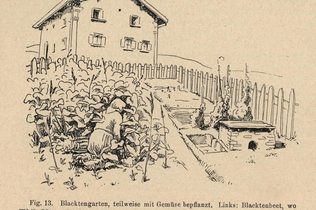 brockmann-jerosch_neujahrsblatt_blacktengartenkopieent_id230.jpg