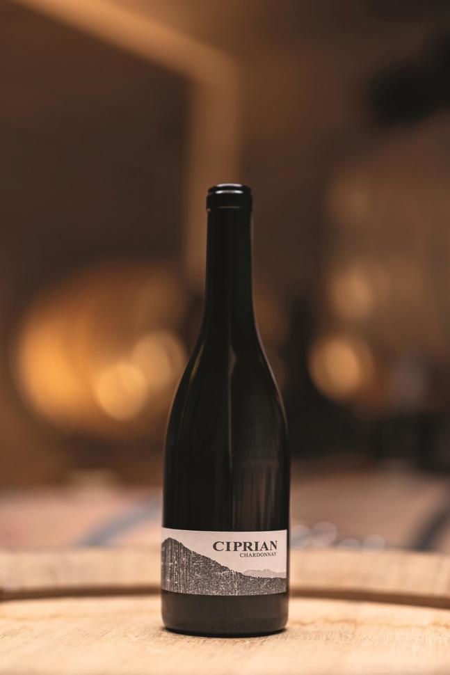 Ciprian Chardonnay 2020 – Harmonische Säure, leichtes Karamell, viel Volumen, rund und lang. Jahresproduktion: 1200 Flaschen.