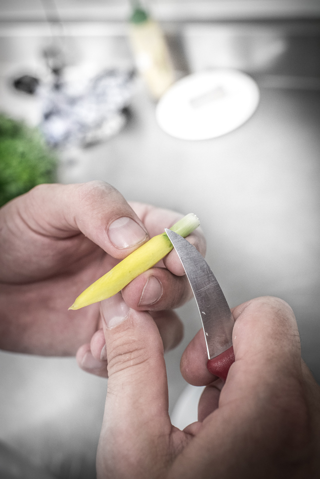 heilemann2016-1021.jpg heilemann2016-1021.jpg