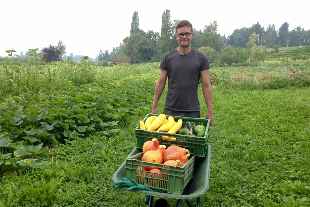 Der Zürcher Koch Alex Ofner packt auf dem Feld mit an, wenn er nicht in der Küche steht.