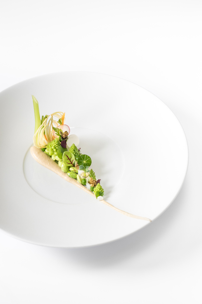 speinle2016-1005.jpg speinle2016-1005.jpg